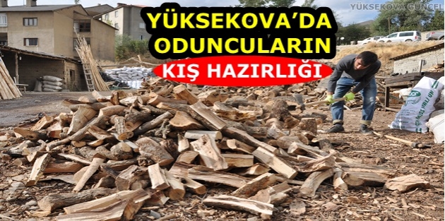 Yüksekova’da Oduncuların Kış Hazırlığı