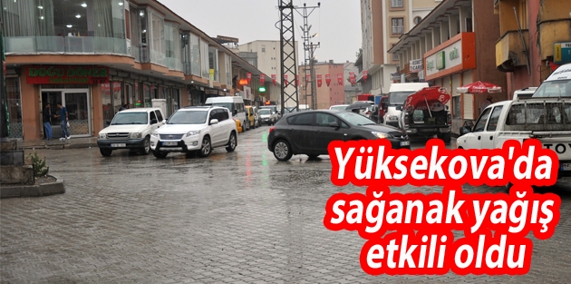 Yüksekova'da sağanak yağış etkili oldu