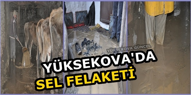 Yüksekova'da Sel Felaketi