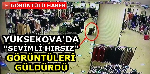 Yüksekova'da ''Sevimli Hırsız'' Görüntüleri Güldürdü