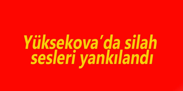 Yüksekova'da Silah Sesleri