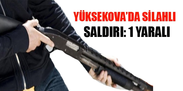 Yüksekova’da silahlı saldırı: 1 yaralı