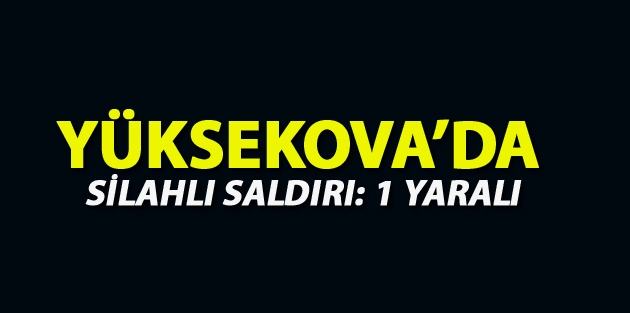 Yüksekova’da Silahlı Saldırı: 1 Yaralı 