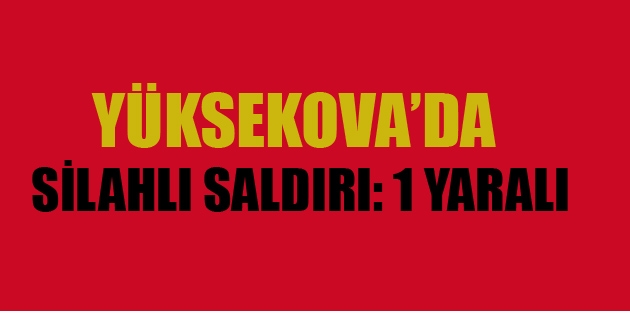 Yüksekova'da Silahlı Saldırı