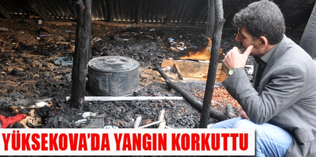 Yüksekova'da Yangın Korkuttu