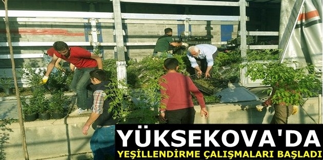 Yüksekova'da yeşillendirme çalışmaları başladı