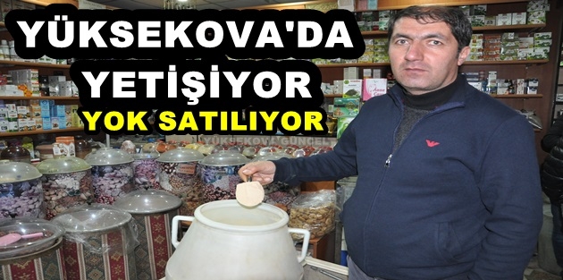 Yüksekova'da Yetişiyor Yok satılıyor