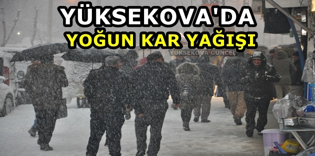 Yüksekova’da Yoğun Kar Yağışı