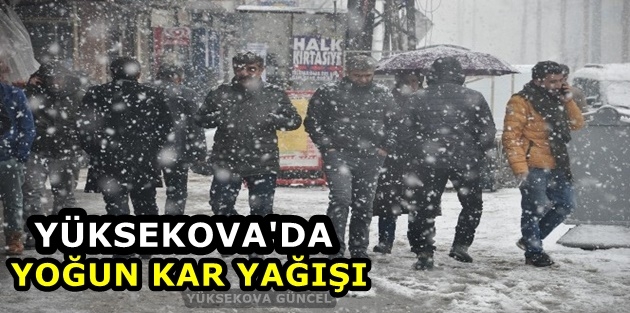 Yüksekova'da yoğun kar yağışı