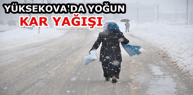 Yüksekova'da Yoğun Kar Yağışı