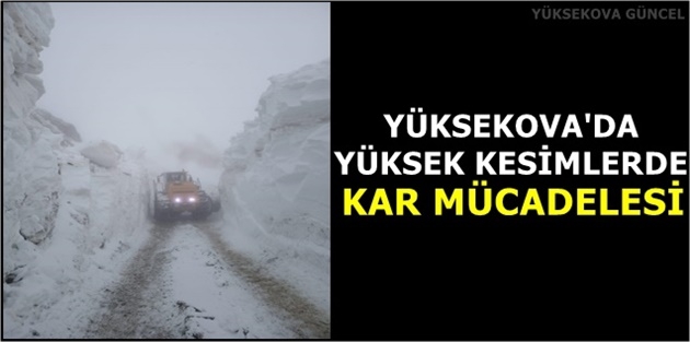 Yüksekova'da Yüksek Kesimlerde Kar Mücadelesi