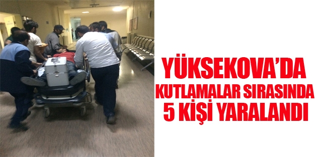 Yüksekova'daki kutlamalarda 5 kişi yaralandı