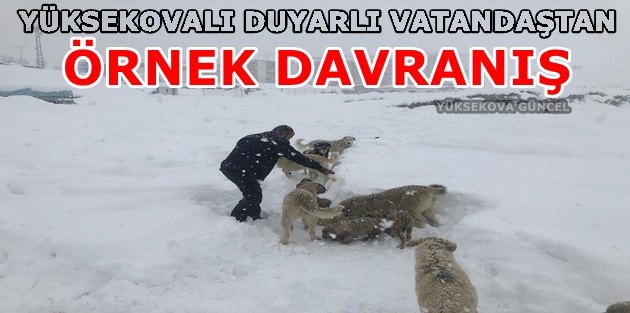 Yüksekovalı Duyarlı Vatandaştan Örnek Davranış