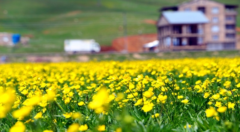 Yüksekova'nın eşsiz güzelliği