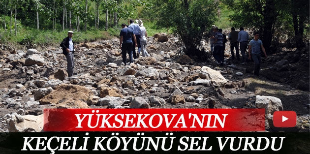 Yüksekova'nın Keçeli Köyünü sel vurdu