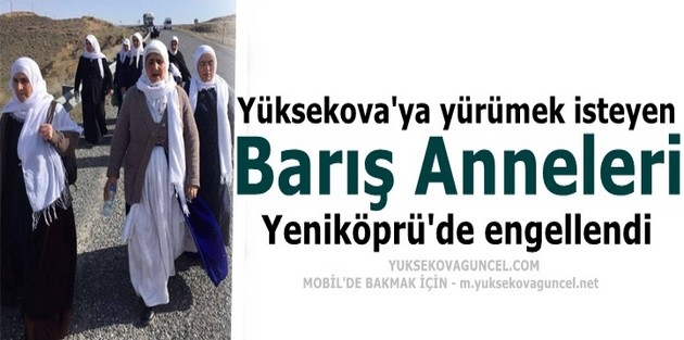 Yüksekova'ya yürümek isteyen Barış Anneleri, Yeniköprü'de engellendi